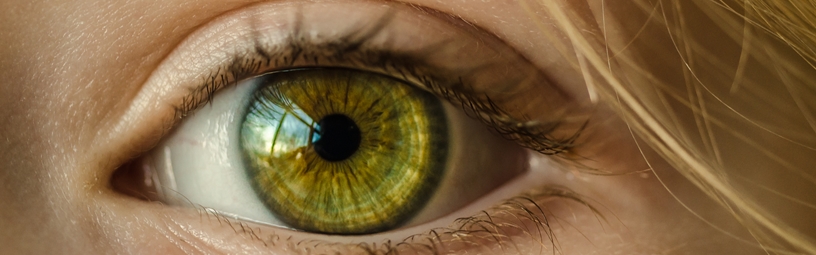 Ophthalmology (Eyes)