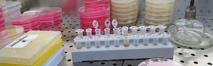 Cellular Pathology Cellular Pathology
