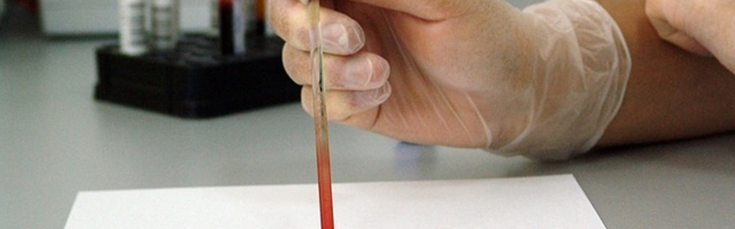 read about Haematology Haematology