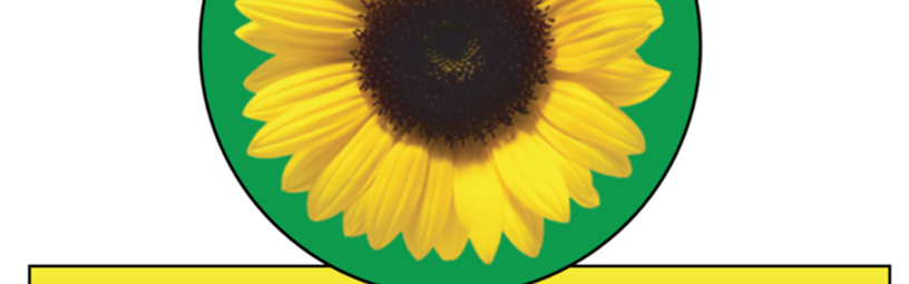 Sunflower Sunflower