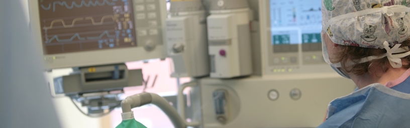 Urology Cancer Urology Cancer