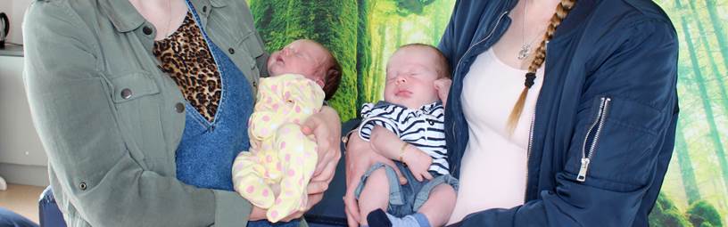 Say “hello” to Harley and Margot! Say “hello” to Harley and Margot!